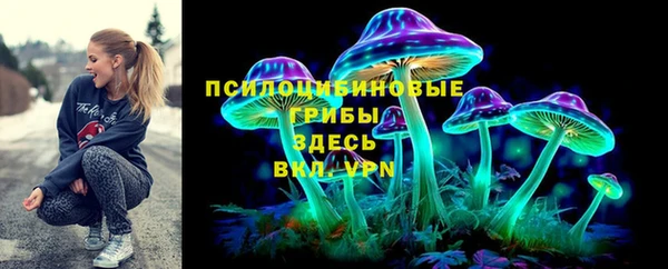 apvp Няндома